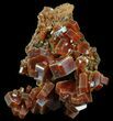 Lustrous Red Vanadinite Crystal Cluster - Morocco #51304-1